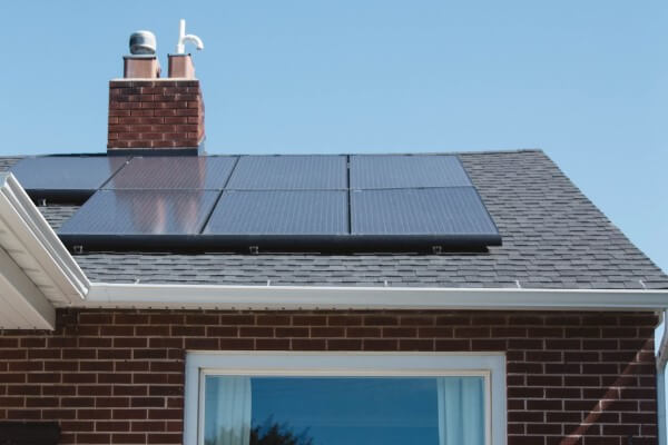 PEST CONTROL WELWYN, Hertfordshire. Services: Solar Panel Bird Proofing. Keep Your Solar Panels Safe from Bird Interference with Local Pest Control Ltd's Specialized Bird Proofing Services in Welwyn